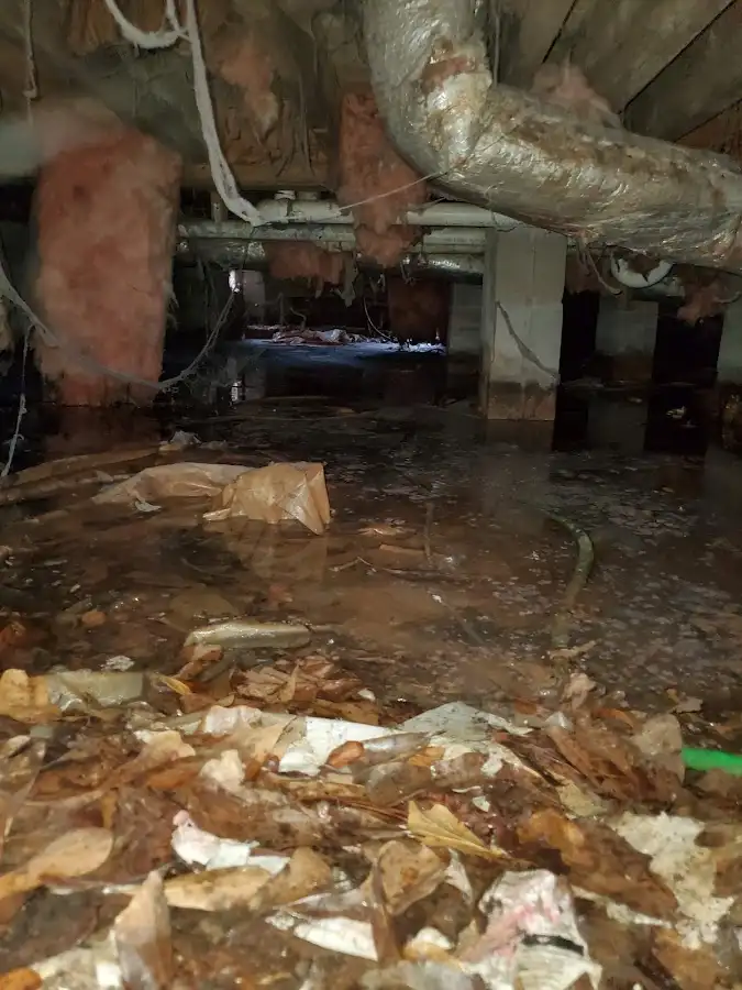 Crawl space flood assessment for Commercial Water Damage Restoration in Bettendorf